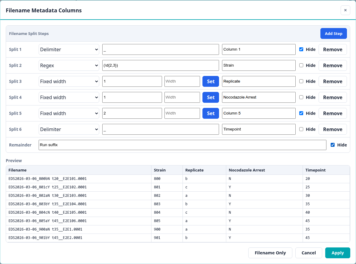Filename metadata wizard configured with delimiter, regex, and fixed-width steps, hidden throwaway pieces, and a preview table showing Filename, Strain, Replicate, Nocodazole Arrest, and Timepoint.